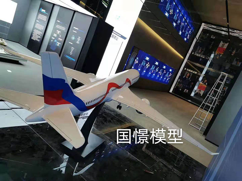 鹿寨县飞机模型
